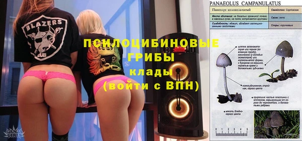 бошки Белокуриха