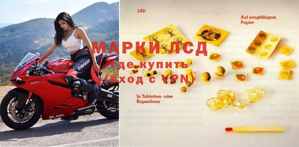 бошки Белокуриха